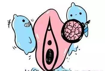 宫颈